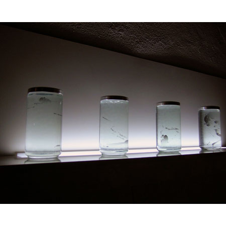 Relevés anatomiques In vitro par Nicolas Terrasson