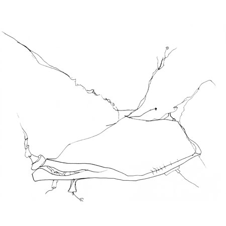 Relevés anatomiques, x-axis par Nicolas Terrasson