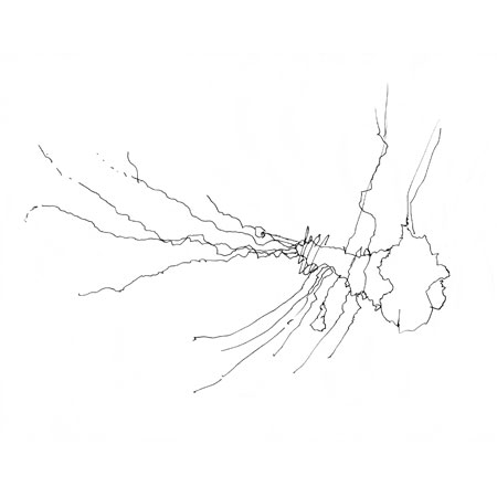 Relevés anatomiques, x-axis par Nicolas Terrasson