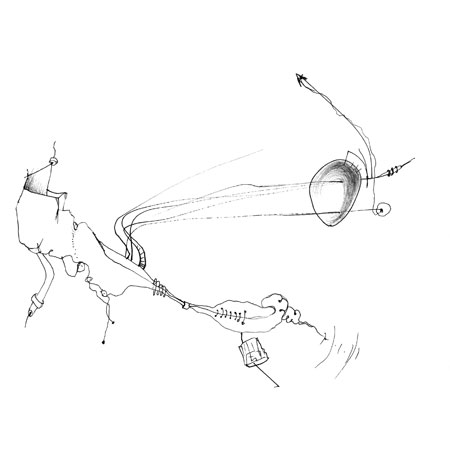 Relevés anatomiques, x-axis par Nicolas Terrasson