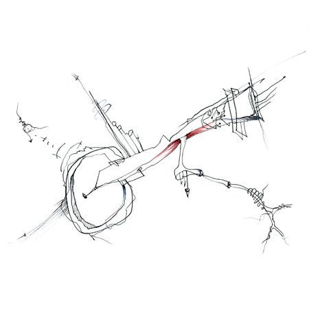 Relevés anatomiques, x-axis par Nicolas Terrasson