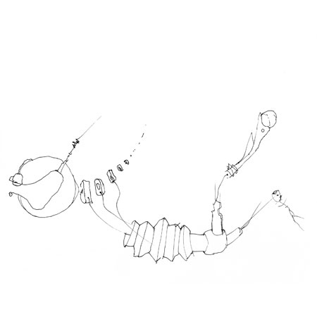 Relevés anatomiques, x-axis par Nicolas Terrasson