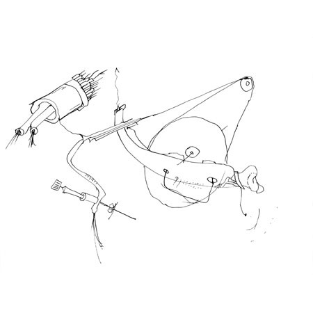 Relevés anatomiques, x-axis par Nicolas Terrasson