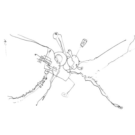 Relevés anatomiques, x-axis par Nicolas Terrasson