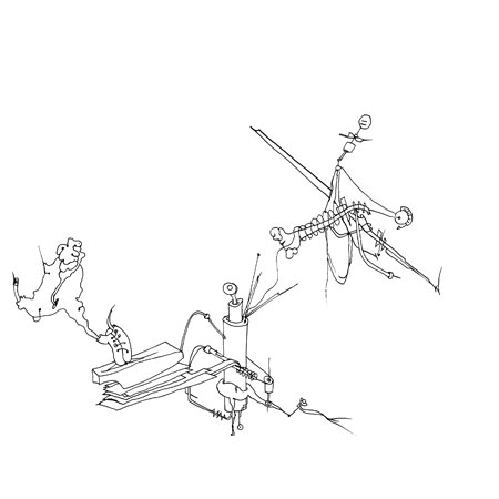 Relevés anatomiques, x-axis par Nicolas Terrasson