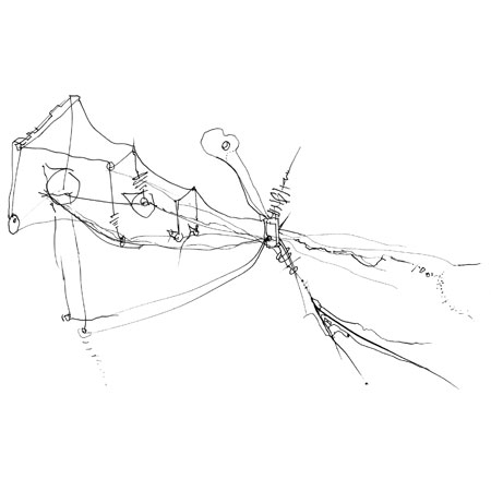 Relevés anatomiques, x-axis par Nicolas Terrasson