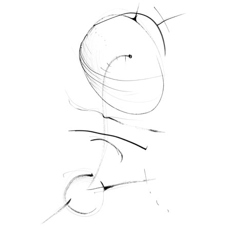 Relevés anatomiques, y-axis par Nicolas Terrasson