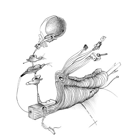 Relevés anatomiques, y-axis par Nicolas Terrasson