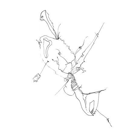 Relevés anatomiques, y-axis par Nicolas Terrasson