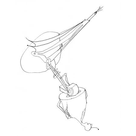 Relevés anatomiques, y-axis par Nicolas Terrasson