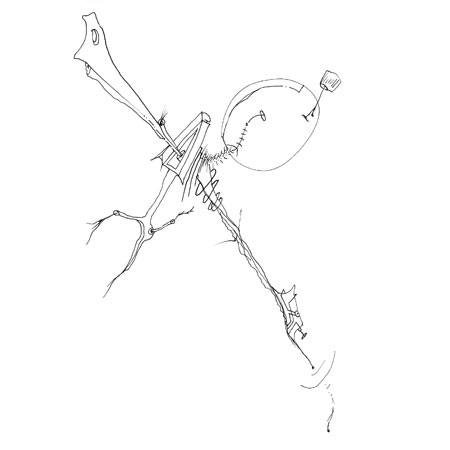 Relevés anatomiques, y-axis par Nicolas Terrasson