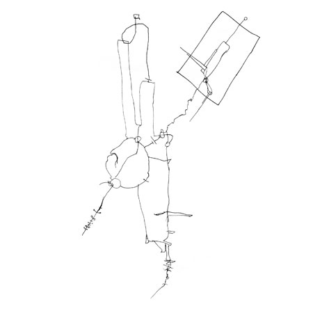 Relevés anatomiques, y-axis par Nicolas Terrasson