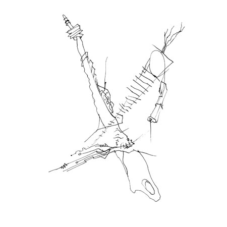 Relevés anatomiques, y-axis par Nicolas Terrasson