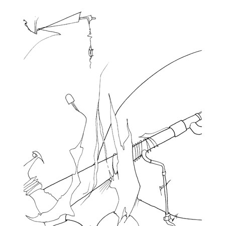 Relevés anatomiques, y-axis par Nicolas Terrasson